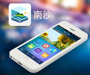 南沙之窗政府門戶APP案例